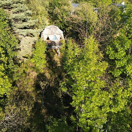 Гостевой дом L'Oriel Du Senepy La Motte-d'Aveillans Экстерьер фото